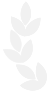 �̹���