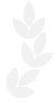 �̹���